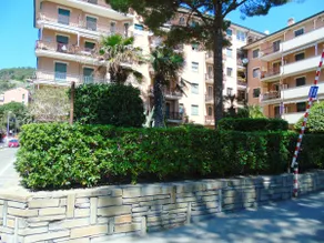 Deiva Holidays - Image 2