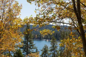 Epic LakeView cabin w/Lake Access/fire pit/dogs ok - Image 2
