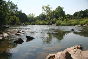 Blue River Retreat - Image 2