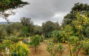 gîte u maggese - Image 4