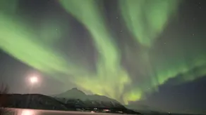 Arctic Aurora View - Image 3