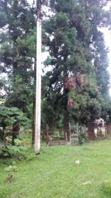 nice domik - Image 5