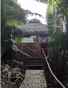 Secluded, romantic oceanfront paradise - Image 4