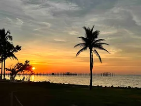 Gulf Access | Waterfront Dock | Walk to Town - Image 4