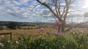 Dees place Milton Ulladulla NSW. - Image 2