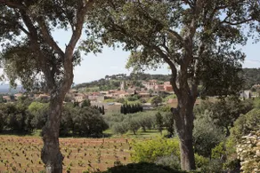 The Solanà (Cantallops Empordá) - Image 3