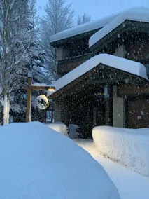 Wildflower 1/2 price Lift Tix SVInn Pool/Rec pass - Image 2