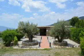 ALPUJARRA, VILLA, JACUZZI, POOL, PRIVATE GARDEN - Image 5