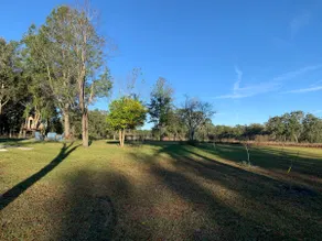Private relaxing stay in Fort White - Image 3