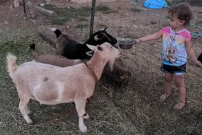 Loa's Farm For Everyone close to Capitol Reef - Image 3