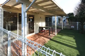 The only accommodation in Johnson Town | Stay with your family and dog | Private rental - Image 4