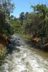 country guesthouse on seasonal creek/animal rescue - Image 3