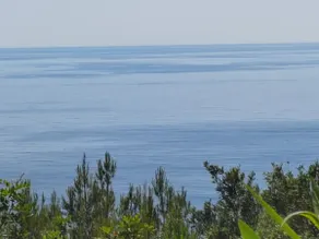 Glauca villa just 100 meters from the sea... - Image 5