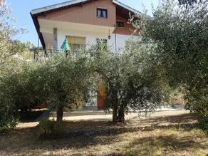 Cottage among the olive trees near the sea IT009031C2OFLEBT3J - Image 2