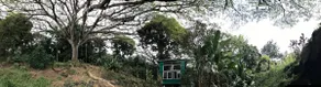 Sweet Spot-Under Giant Trees- Romantic-Beach Near - Image 2