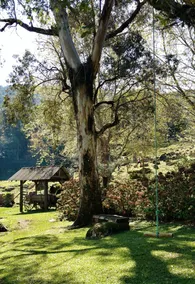 Finca Molina Country Hostel - Image 3