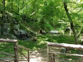 Cabin on Honeycomb Creek - Image 4