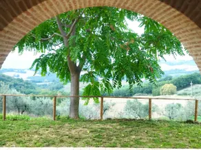 House in the Umbrian countryside - Image 2