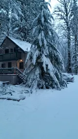 Family/pet friendly cabin, Salmon River,hot tub - Image 2