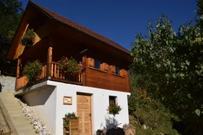 Shepperd Miha's House Private Ski Area - Image 2