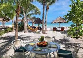 Villa Palmeras - 6 Bedrooms Beachfront - Image 2