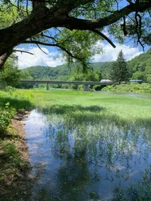 Walk to River & GBRT • Sleeps 12 • Near Snowshoe - Image 3
