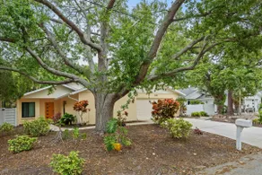 Palm Retreat near Ringling Museum! - Image 4