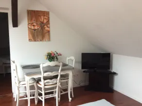Nice F1 bis in bright attic near train station - Image 4