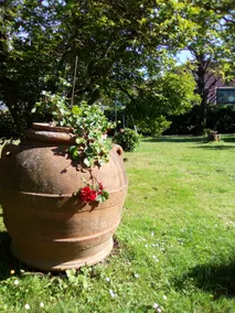 Charming stay in a seventeenth-century villa - Image 5