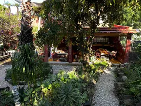 Tepoztlán in the mountains. Magical and peaceful! - Image 3