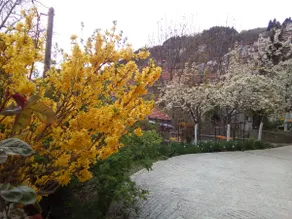 Archontiko Irini - 6 Metsovo - Image 5
