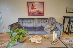 Stylish, roomy 2br in Tech Terrace with large yard - Image 2