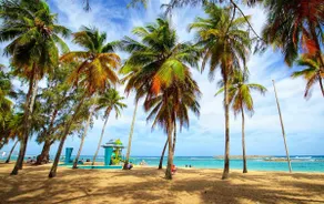 Elevate Your Stay! Prime 2 Beds Home w Ocean View! - Image 5