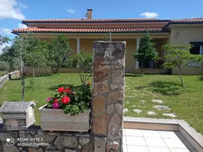 Casa da Floresta - Image 3
