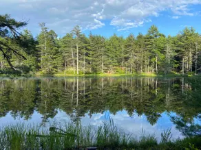 Cozy log cabin on private pond, near Reid St Park! - Image 2