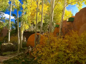 A nature sanctuary on 6 acres of sheer bliss! - Image 2
