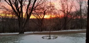 Quiet Country Retreat - Image 5