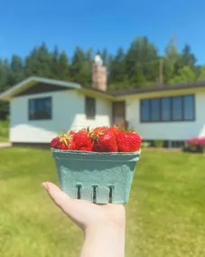 The Berry Patch Bungalow - Image 2