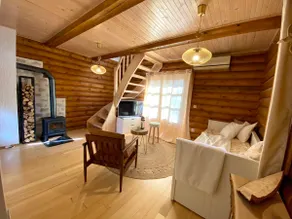 Pine Lodge - isolated mountain wooden log house - Image 2