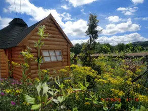 Kota Chalet, energetic well-being, pond view - Image 4