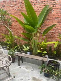 El Sueno Villa, Garden,Pool,gathering, family,BBQ - Image 2