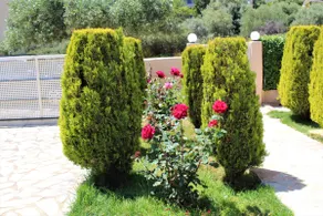 Helen's Sounio apartments 2 - Image 3