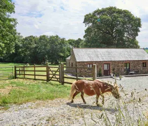 The Oaks - Image 3