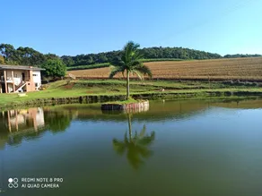 Beautiful place in Dois Vizinhos amidst Nature - Image 3