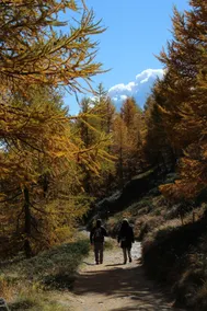 Chalet Chinegga - Image 4