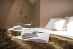 Le Holzberg ( 8 à 10 pers) - Wellness, sauna et nature à 20min de Colmar - Image 3