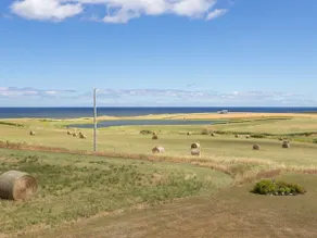 Green Gables Seaview Home with acres of serenity - Image 3