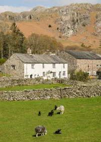 Penny Hill Farm Holiday Cottage - Image 3