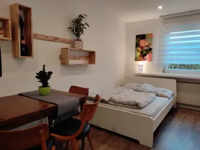FeWo Clemens in EG with terrace - Image 3