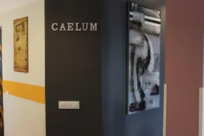 NUNDINAE-DOMUS CAELUM - Image 5